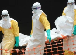 Những lý do khiến virus Ebola nguy hiểm hơn cả virus HIV