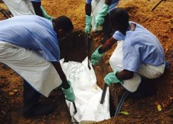 Nigeria ban bố tình trạng khẩn cấp do dịch Ebola