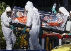 Sẽ có vắc xin chống virus Ebola vào năm 2015