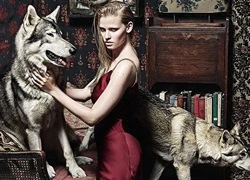 Siêu mẫu Lara Stone chụp ảnh cùng chó sói