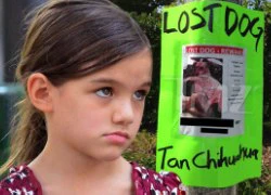 Suri Cruise treo giải 1.000 USD cho ai tìm thấy chó cưng