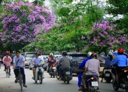 Thời tiết ngày 10/8: Khí hậu mát mẻ