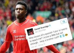 Tìm gia sư tiếng TBN, Sturridge đang trên đường rời Liverpool?