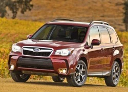 Triệu hồi xe Subaru Forester 2.0 XT tại Việt Nam