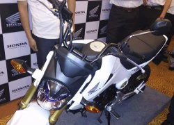 Về Việt Nam, Honda MSX125 chính hãng giá bao nhiêu?