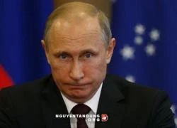 Vụ MH17: Thân nhân đòi kiện Tổng thống Putin