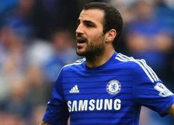 Arsenal vớ bẫm từ vụ Fabregas gia nhập Chelsea