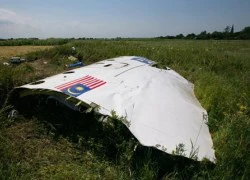 Báo cáo chính thức: MH17 bị rơi do vật thể bên ngoài