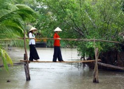 Chiếc cầu in sâu trong miền nhớ