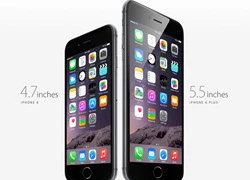 Fan Việt thích iPhone 6 Plus hơn iPhone 6