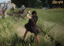 Game nhập vai đỉnh Black Desert rục rịch thử nghiệm