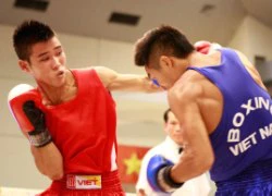 Giải boxing diễn ra sôi nổi ở Hà Nội