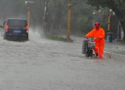 Giao thông Trung Quốc tê liệt vì bão Kalmaegi