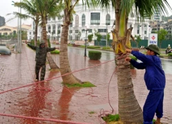 &#8220;Gói ghém&#8221; tài sản, di tản dân trước giờ bão đổ bộ