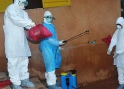 Hiện đã có 3069 ca mắc và 1552 trường hợp tử vong do Ebola