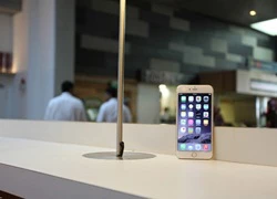 iPhone 6 Plus giá 50 - 70 triệu không có để bán tại VN