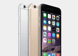 Lượng đặt hàng iPhone 6 cao kỷ lục