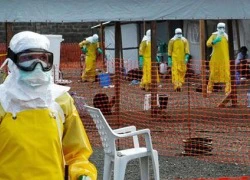 Mỹ cam kết hỗ trợ khoảng 100 triệu USD cho cuộc chiến chống Ebola