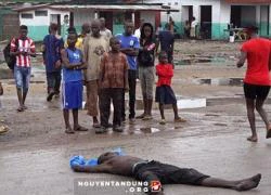 Nạn nhân Ebola ở Liberia bị chó hoang đào xác lên ăn thịt