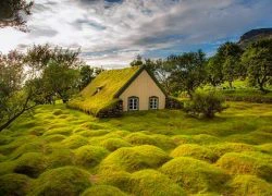 Nhà thờ mái cỏ đẹp như trong cổ tích ở Iceland