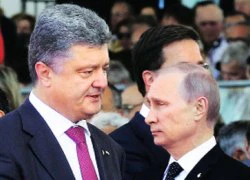 Ông Poroshenko đính chính tin nhất trí "ngừng bắn lâu dài" với Putin