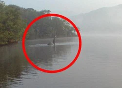 Quái vật hồ Loch Ness xuất hiện ở Anh?