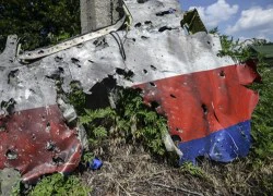 RIA: Báo cáo của Hà Lan cho thấy MH17 bị bắn bằng đạn súng