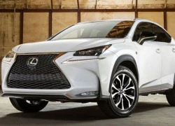 Sẽ không có Lexus NX phiên bản tính năng cao