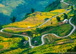 Thu vàng miên man ở Y Tý, Lào Cai