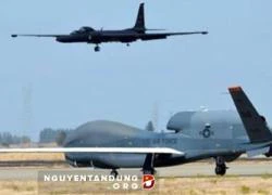 Vì sao Mỹ tức tốc mua máy bay do thám RQ-4 Global Hawk?