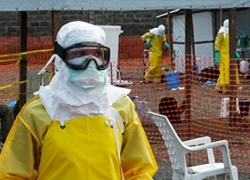 WHO xác nhận số ca tử vong do Ebola lên tới 2.400