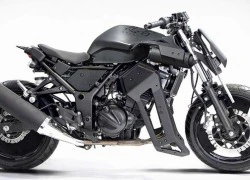 Yêu ngay từ cái nhìn đầu tiên với Ninja 250R độ Streetfighter