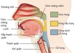 Ăn nhiều dưa cà muối nguy cơ mắc ung thư vòm họng