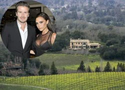 Beckham mua trang trại nho tặng vợ