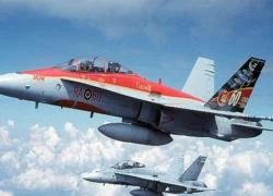 Canada đưa chiến đấu cơ CF-18 Hornet sang Iraq không kích IS