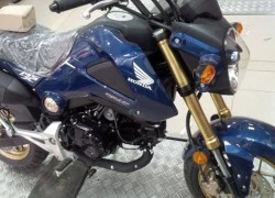 Chưa bán ra, Honda MSX 125 bị hét giá hơn 70 triệu đồng