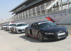 Chùm ảnh Audi R8 thử sức tại trường đua Autodrome Dubai