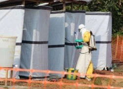 Ebola đe dọa giải vô địch châu Phi 2015