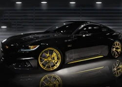 Ford Mustang - bóng bẩy và mạnh mẽ