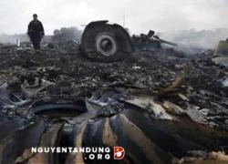 Hà Lan để ngỏ khả năng MH17 bị chiến đấu cơ Ukraine bắn hạ