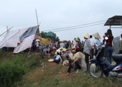 Hàng trăm người dân lại dựng lều vây trại nuôi lợn