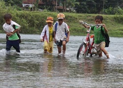 Học sinh lội suối đến trường