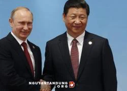 Lạnh Tây, nóng Đông: Putin sợ &#8216;đứt tay&#8217;