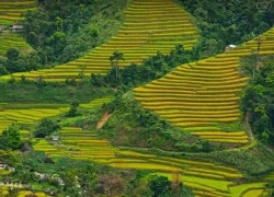 Lên Hà Giang chơi gì mùa thu?