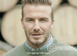 Lộ tin David Beckham sắp đến Việt Nam?