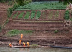 Luang Prabang - thành phố không bao giờ phải lo nghĩ