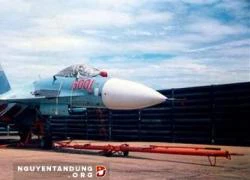 Nâng cấp giữa vòng đời: Việt Nam sẽ chọn Su-27SKM hay Su-27SM2?