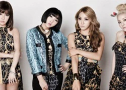 2NE1 bỏ tất cả chương trình giải thưởng cuối năm