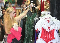 Paris Hilton bế cún cưng đi mua đồ Halloween