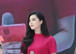 Phạm Băng Băng xinh đẹp khiến "fan" leo cây để ngắm